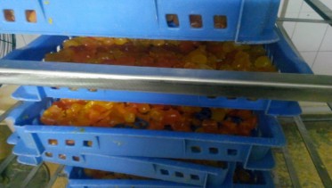 蛋黃烘干存放高溫烘干機(jī)CGF20/SN項(xiàng)目