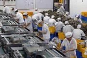 工業(yè)除濕機(jī)，食品加工行業(yè)的“保護(hù)傘”